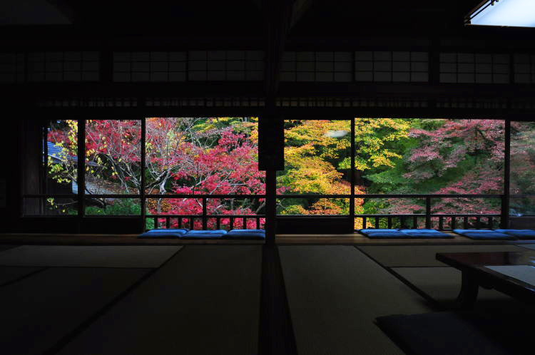 瑠璃光院・瑠璃庭