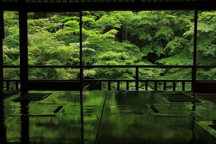 瑠璃光院・瑠璃庭