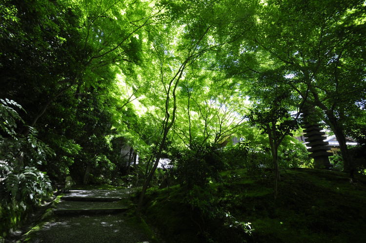 瑠璃光院・山露地の庭