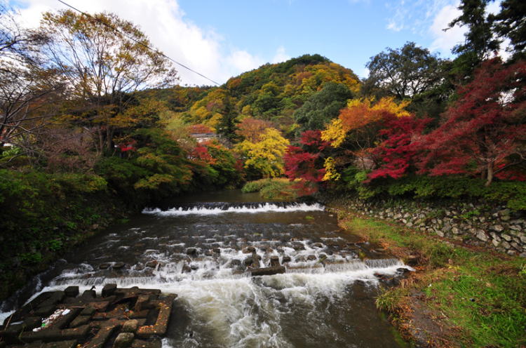 八瀬の風景