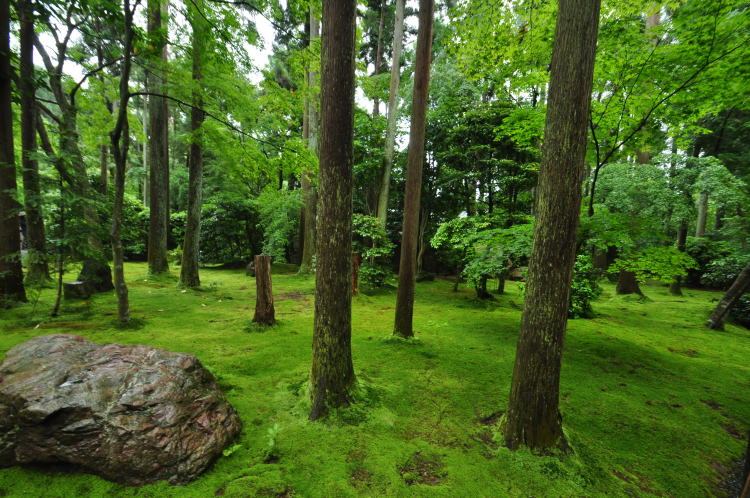 龍安寺・境内