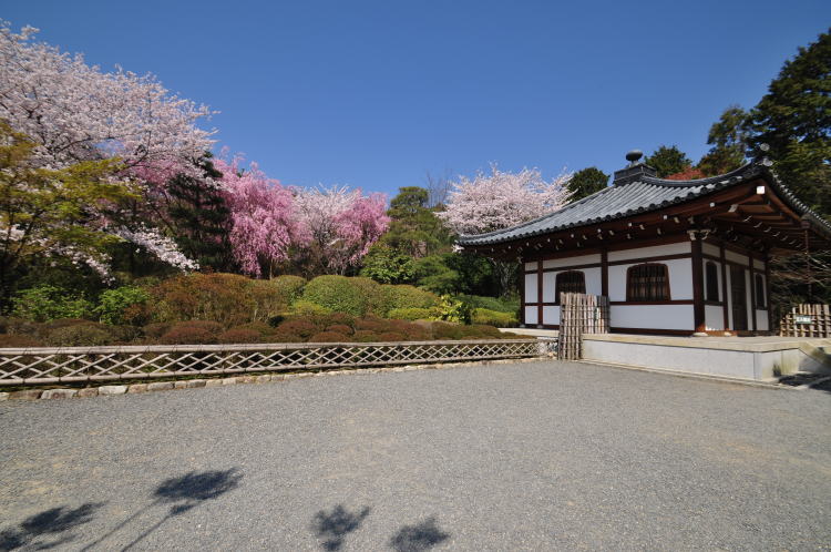 龍安寺・境内