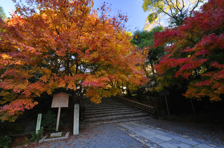 龍安寺・境内