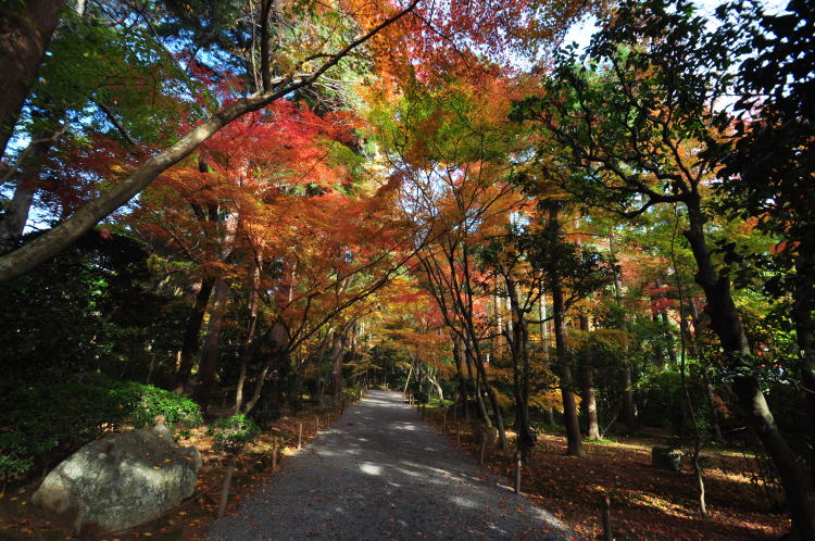 龍安寺・境内