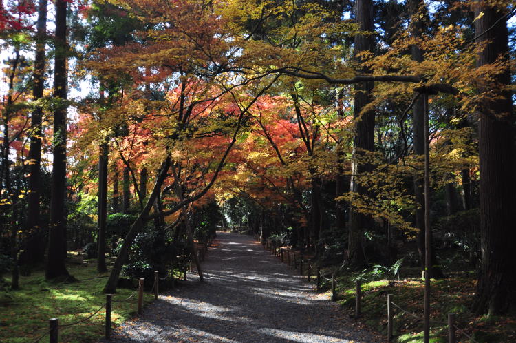 龍安寺・境内