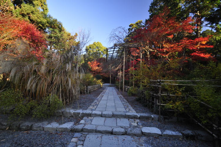 龍安寺・境内