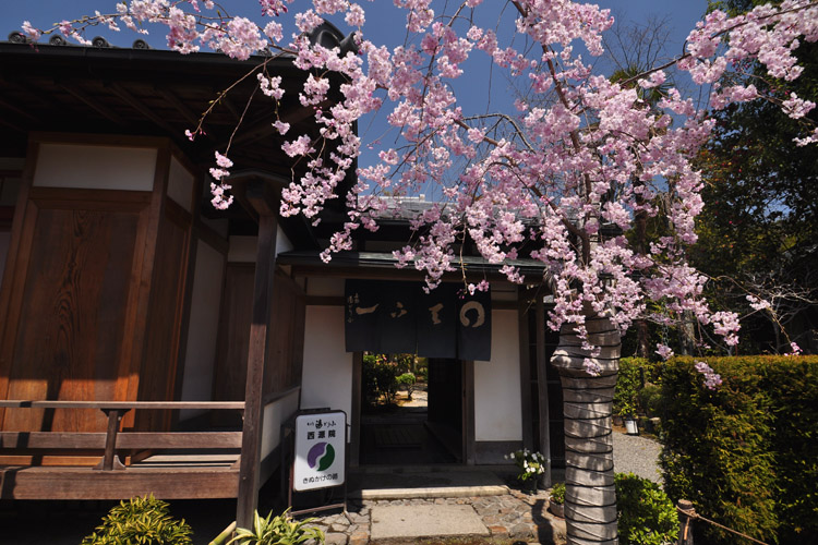 龍安寺・西源院