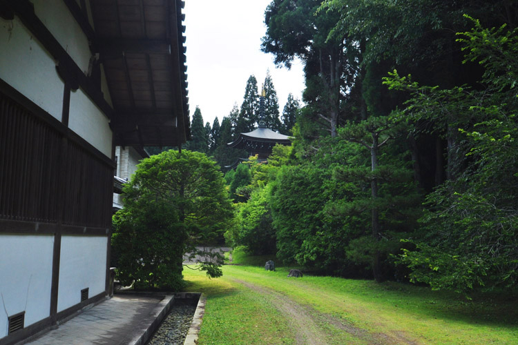 西芳寺・苔寺・三重塔