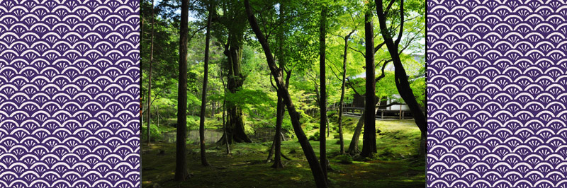 西芳寺(苔寺)