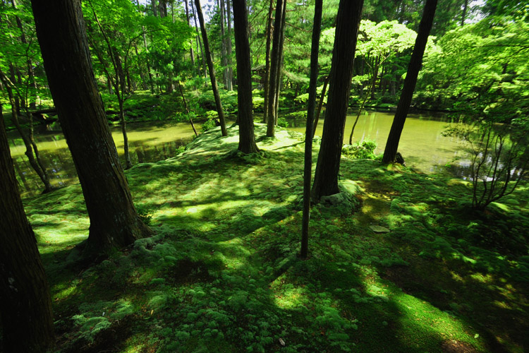 西芳寺(苔寺)・庭園