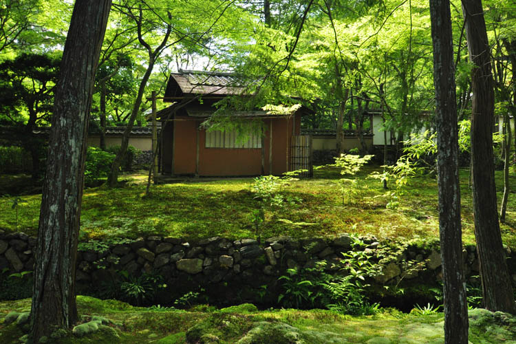 西芳寺(苔寺)・少庵堂