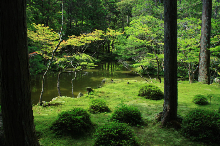 西芳寺(苔寺)・庭園