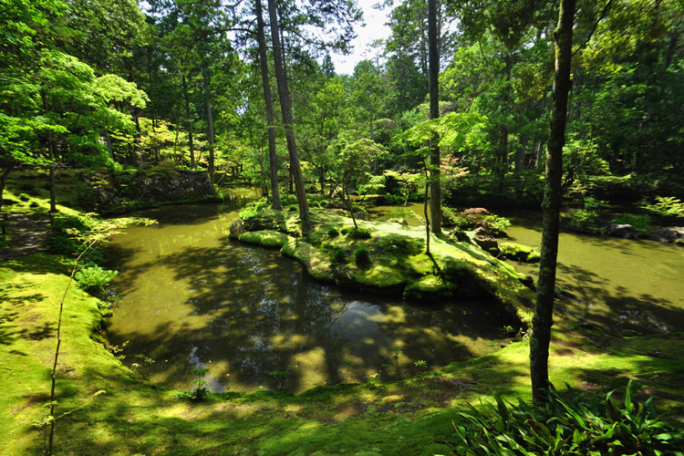 西芳寺・苔寺・庭園