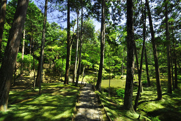 西芳寺・苔寺・庭園