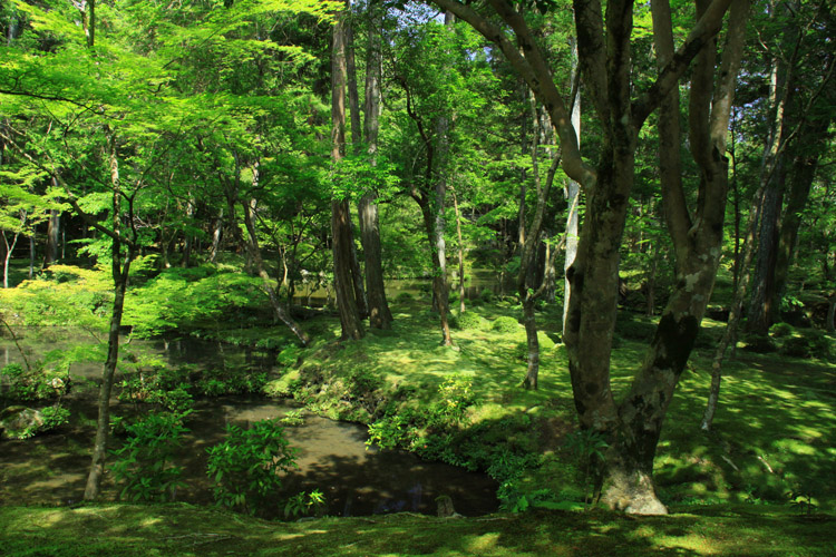 西芳寺(苔寺)・庭園