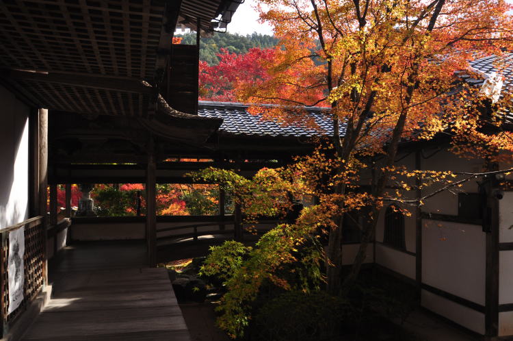 西明寺・本堂