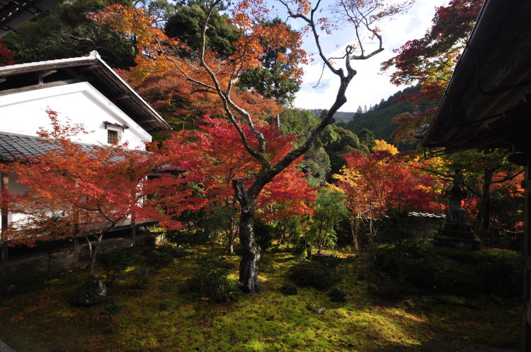 西明寺・本堂庭園