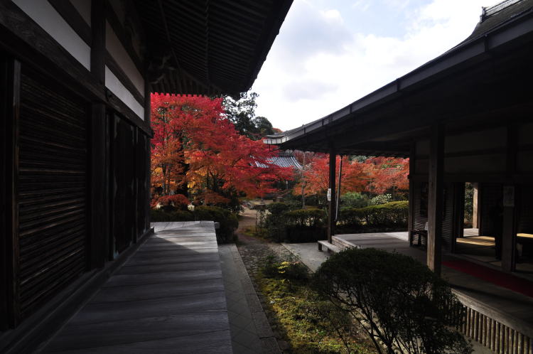 西明寺本堂と客殿