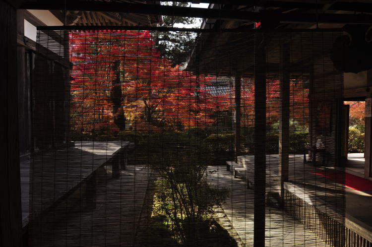 西明寺・本堂と客殿