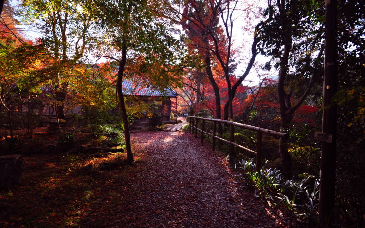 西明寺・境内