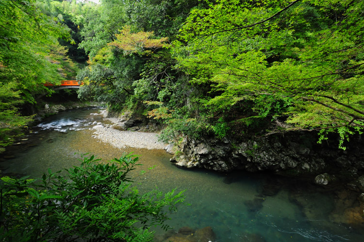 西明寺・指月橋と清滝川