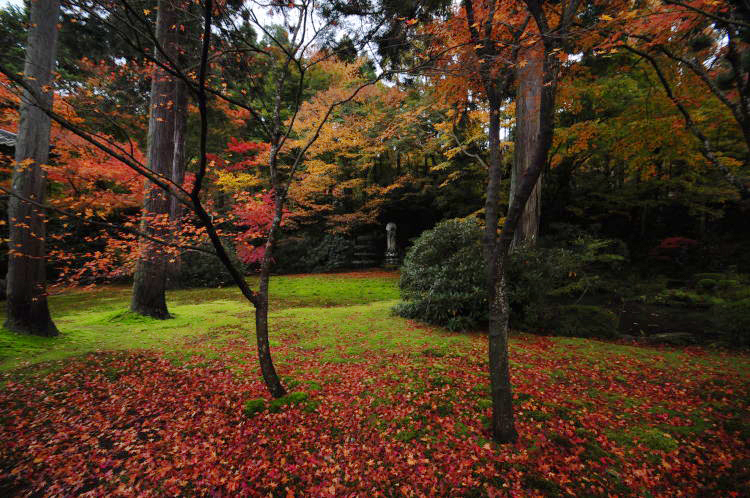 三千院・瑠璃光庭