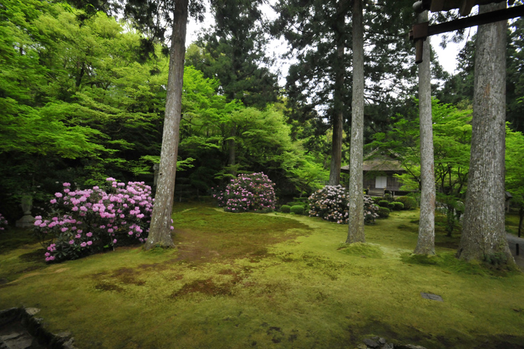 三千院・境内