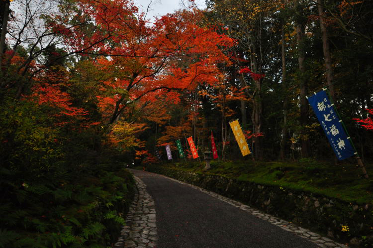 赤山禅院・紅葉