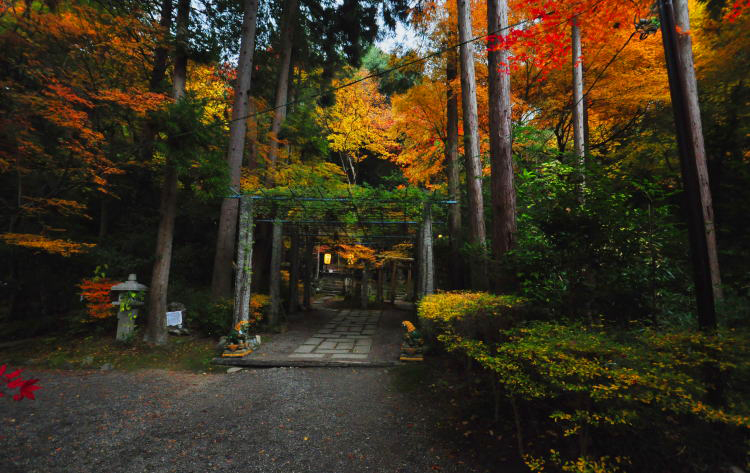 赤山禅院・紅葉