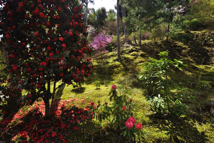 天龍寺・百花苑