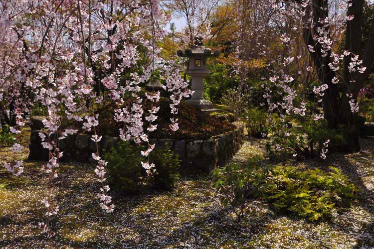 天龍寺・百花苑