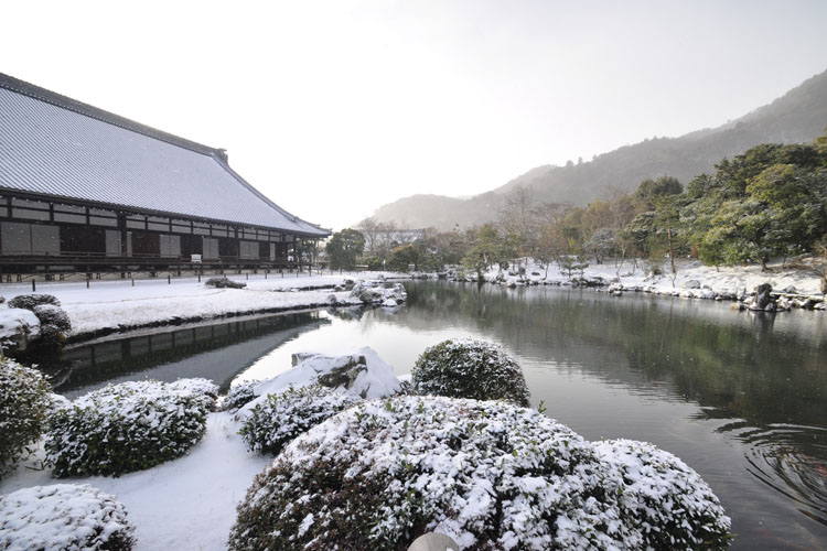 天龍寺・曹源池庭園