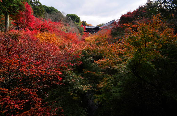 東福寺・通天橋