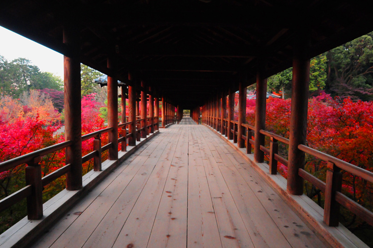 東福寺・通天橋