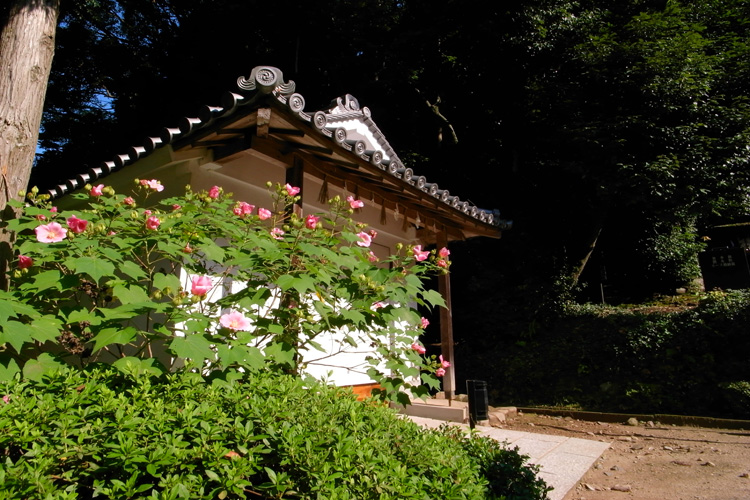 宇治上神社