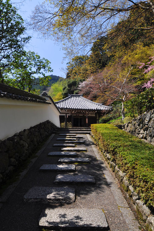 養源院境内・阿弥陀堂