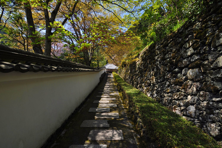 善峯寺・境内