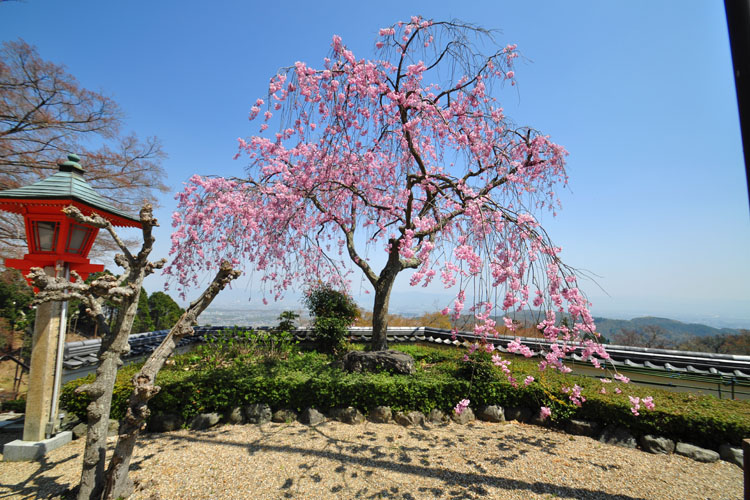 善峯寺・境内