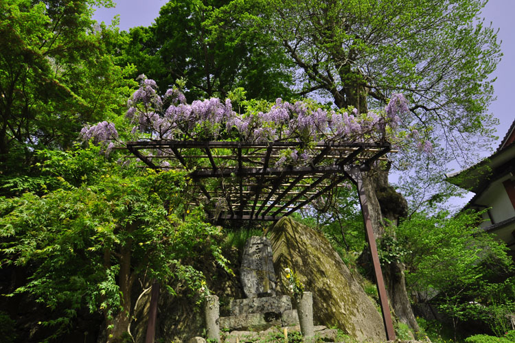 長谷寺・境内