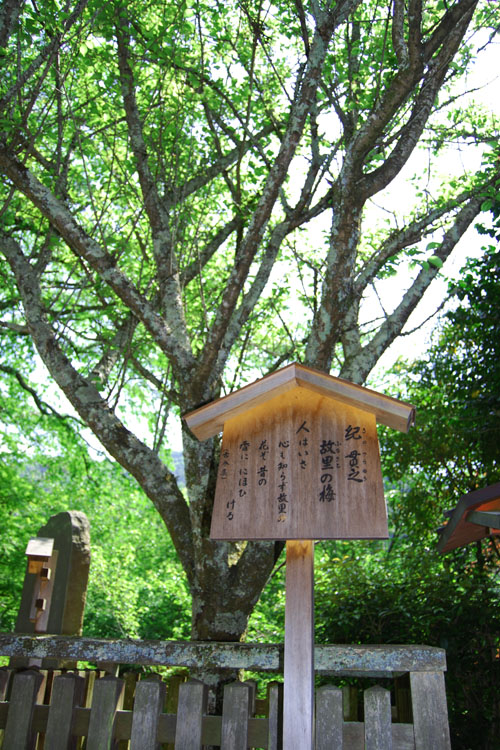 長谷寺・境内