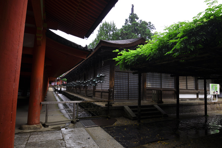 春日大社境内・直会殿