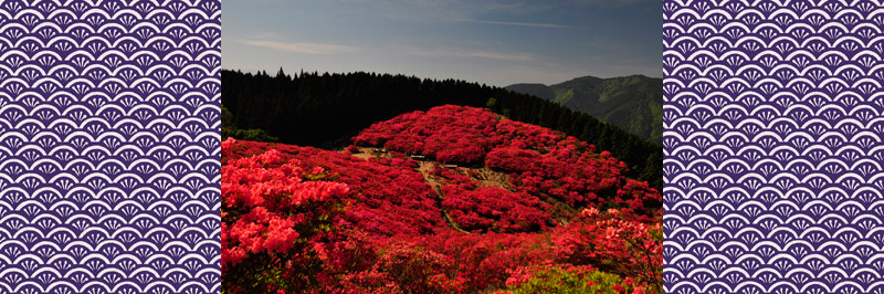 葛城山