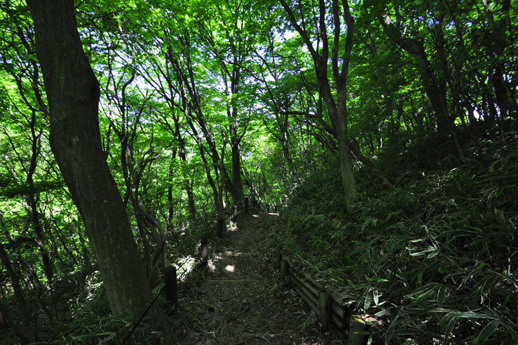 葛城山・ハイキングコース