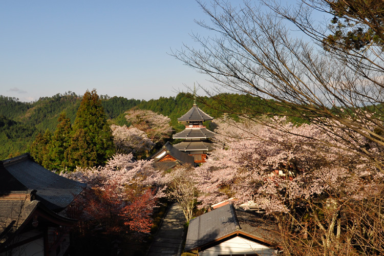 金峯山寺・南朝妙法殿