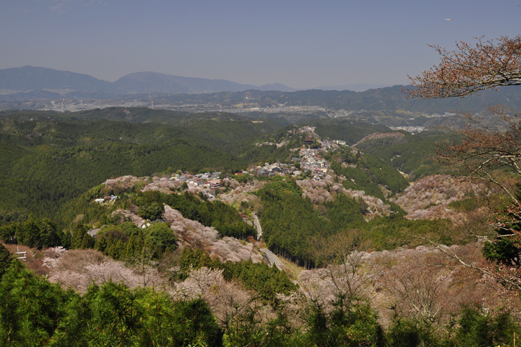 金峯山寺・上千本から見た蔵王堂