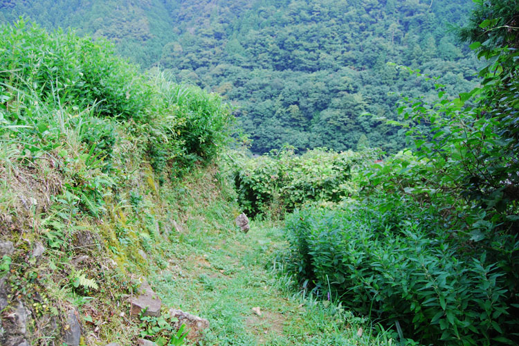 熊野古道・小辺路