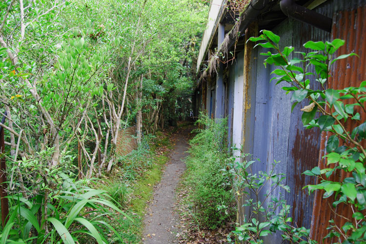 熊野古道・小辺路