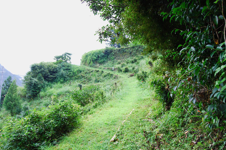 熊野古道・小辺路