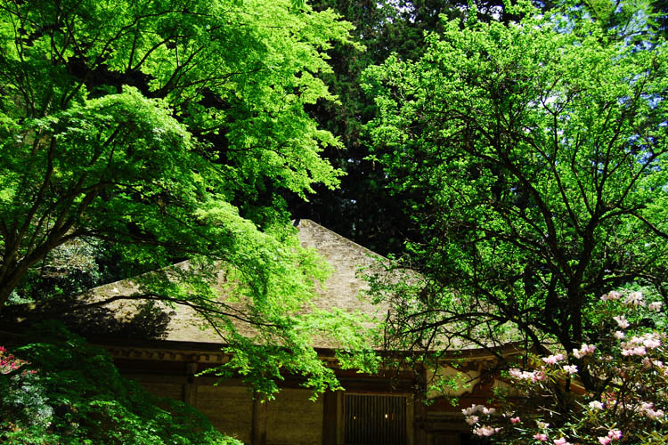 室生寺・金堂