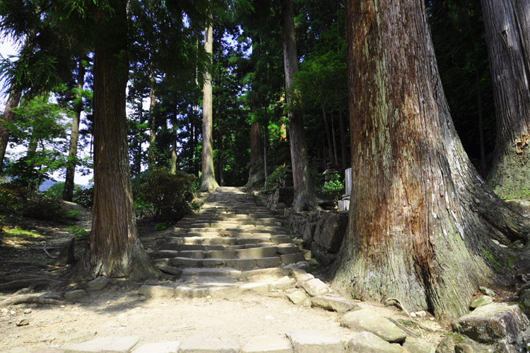 室生寺・奥の院に続く道